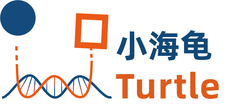 Turtle Tech